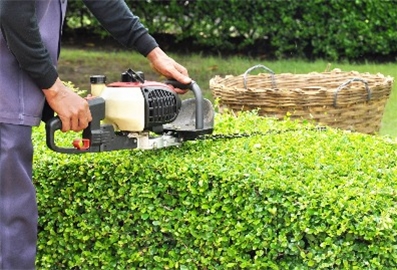 s-397-270-196374665049391801984411480