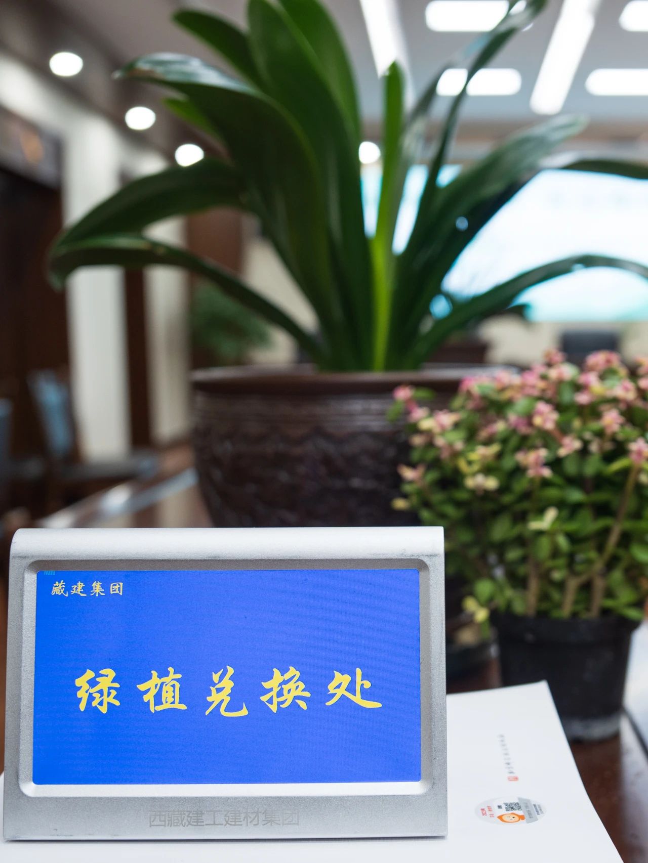 白菜资源网-白菜导航大全