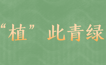 s-450-278-116381416349944197175597275