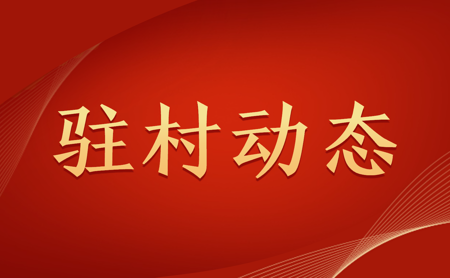 s-450-278-036384509535324816225440901